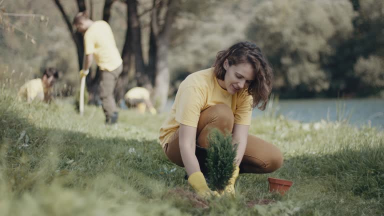 Best Organic Lawn Care Solutions  in Lamesa, TX